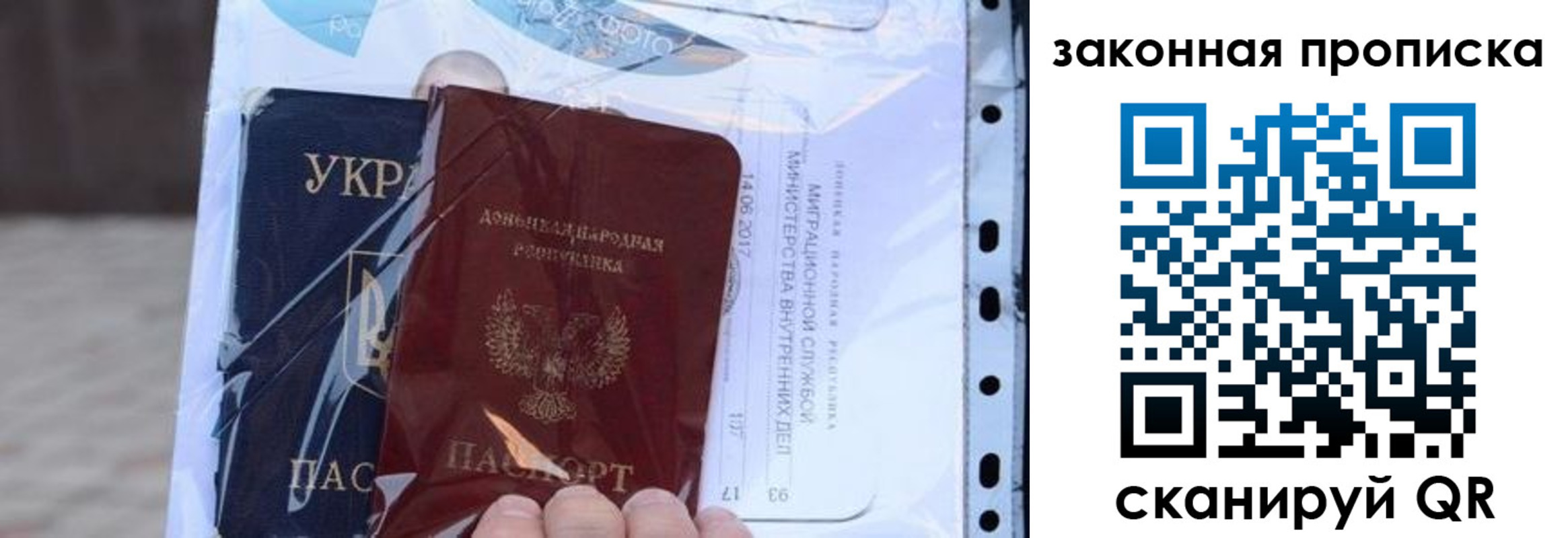 прописка для школы в Тосно